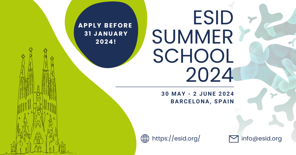 Summer School 2024 Promo Visual